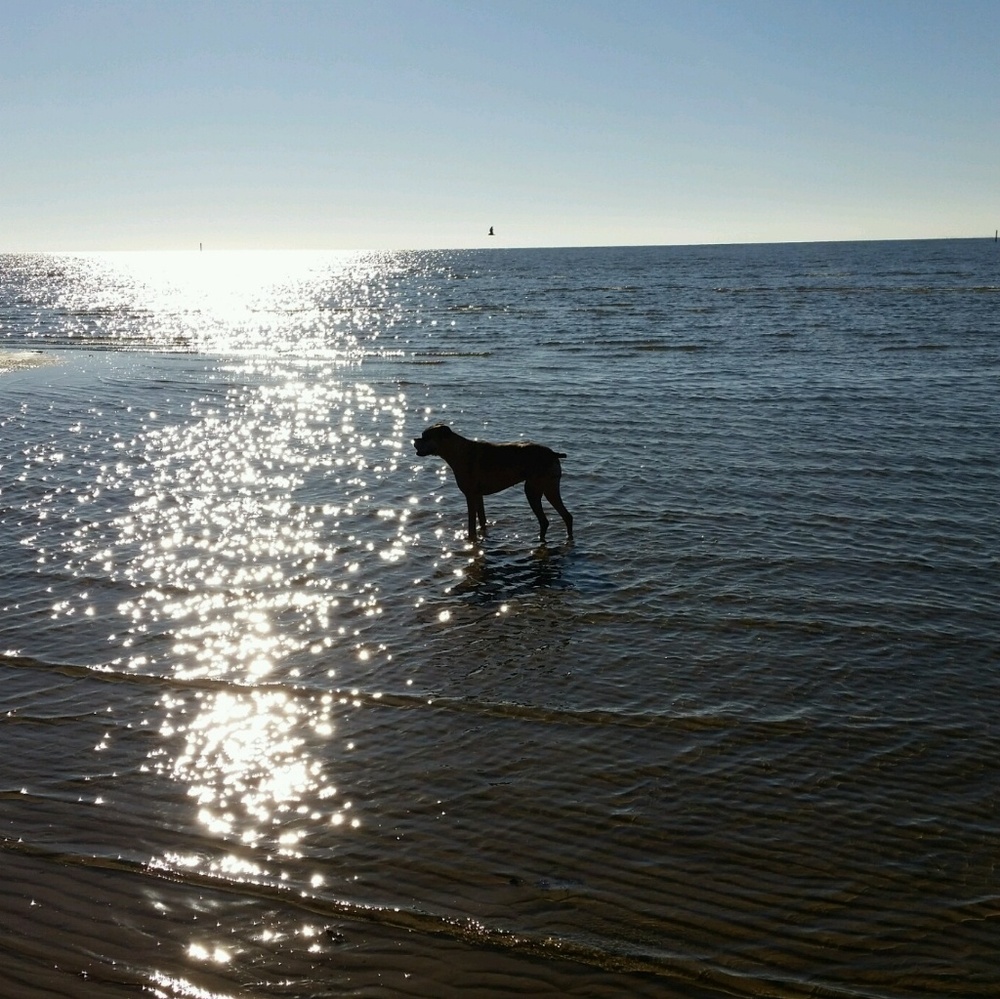 Meet your Posher, Theresa